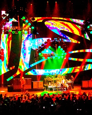 311 Orlando