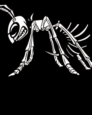 Alabama State Hornets Daytona Beach