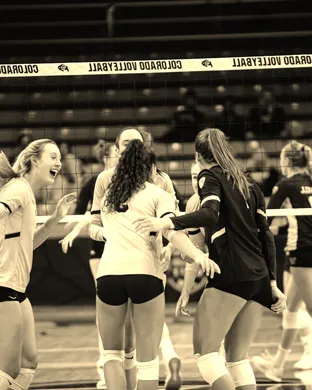 Colorado Buffaloes Women's Volleyball Orlando