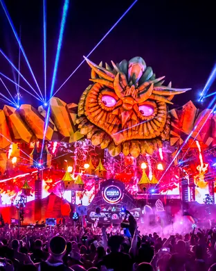 Electric Daisy Carnival Orlando