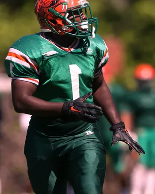 Florida A&m Rattlers Football Orlando