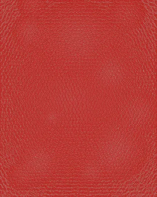 Red Leather Winter Park