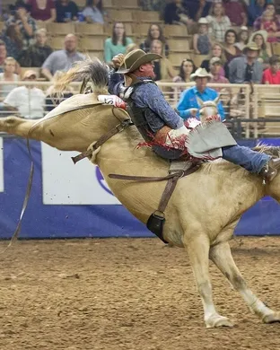 Silver Spurs Rodeo Kissimmee