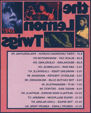 The Lemon Twigs Orlando