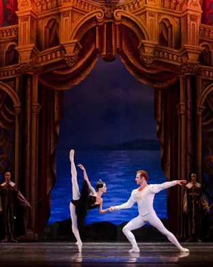 Galmont Ballet Cocoa